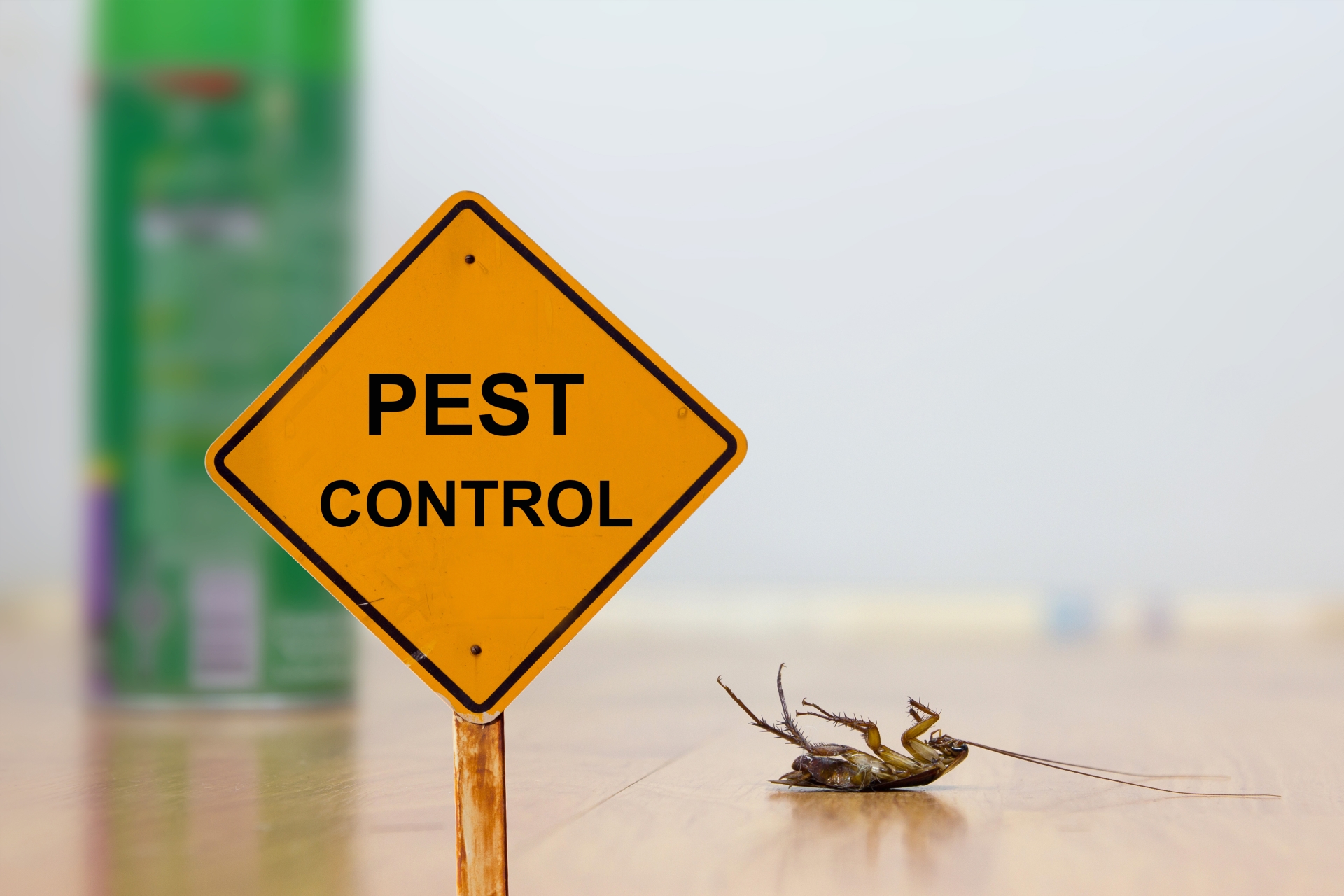 24 Hour Pest Control, Pest Control in Weybridge, Oatlands, KT13. Call Now 020 8166 9746